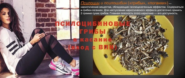 прущая мука Магас