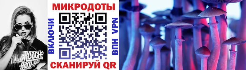 это как зайти  Плавск  Псилоцибиновые грибы Psilocybine cubensis 
