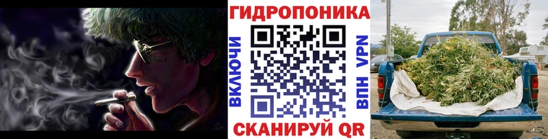 Бошки Шишки гибрид  где можно купить   Плавск 